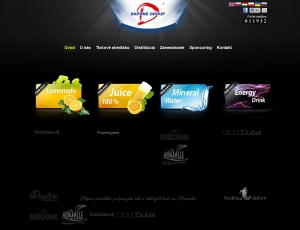 Web presentation for Daphne Group s.r.o.