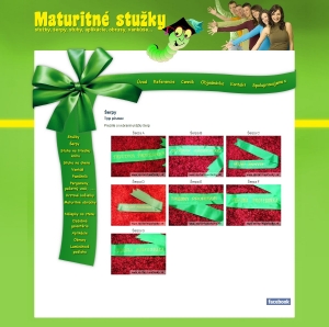 Webpräsentation für BE&RY