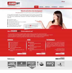 Webpräsentation für Grandiosoft