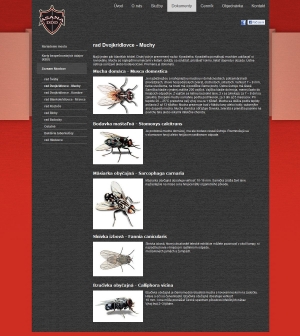 Webpräsentation für ASANA DDD s.r.o.