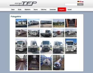 Webová prezentácia pre TFP Transport For People s.r.o.