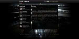 Webpräsentation - www.liontrans.eu