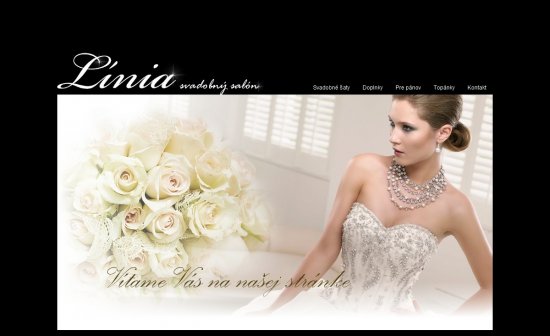 Web presentation for Salón Línia